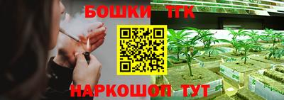 молекула духа Ставрополь