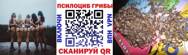 Псилоцибиновые грибы Magic Shrooms  купить   Старая Русса 