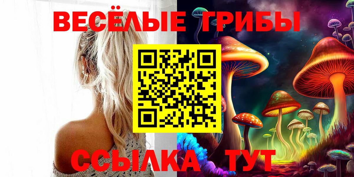 Псилоцибиновые грибы прущие грибы Старая Русса