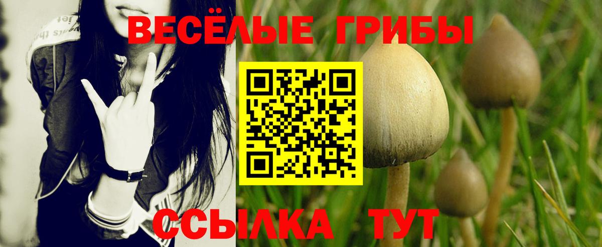Старая Русса  Галлюциногенные грибы GOLDEN TEACHER  Вход с VPN  Псилоцибиновые грибы Psilocybe 